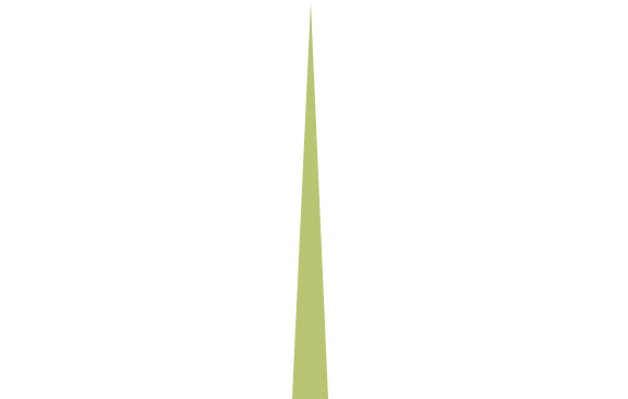 POCA Point